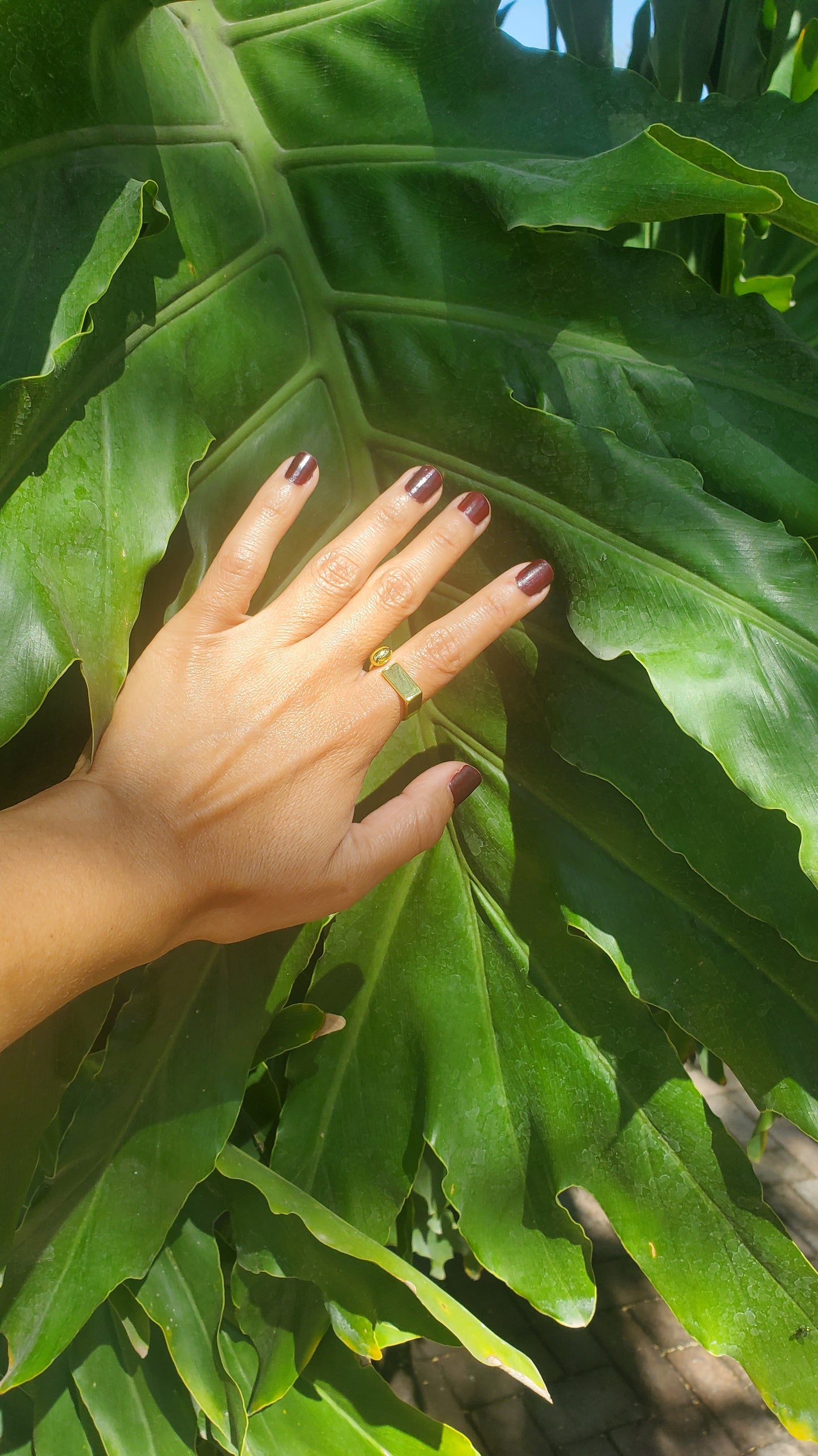 Anillo elemental